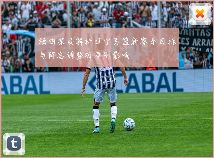 杨鸣深度解析辽宁男篮新赛季目标与阵容调整对争冠影响