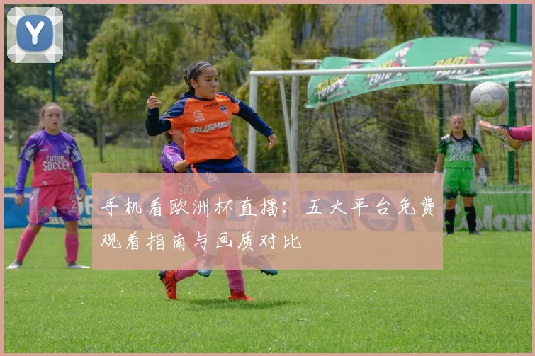 手机看欧洲杯直播：五大平台免费观看指南与画质对比