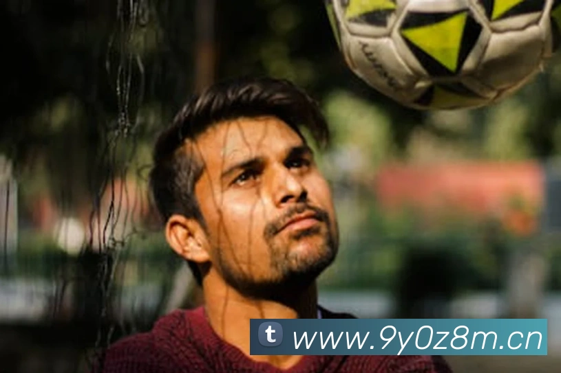 星空网页版入口平台生态图