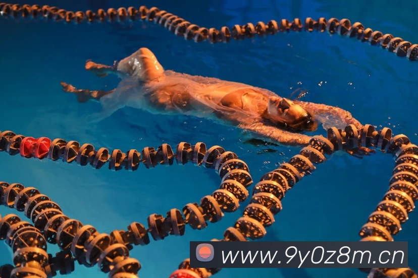 星空网页版入口全站App